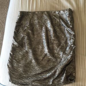Silver skirt